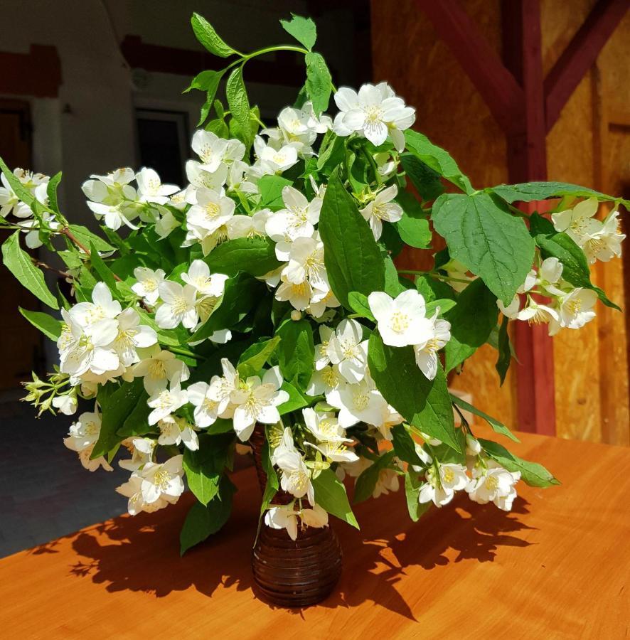 Апартаменты Jasmin Budry Экстерьер фото